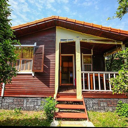 Three Islands Bungalow Çıralı Eksteriør billede