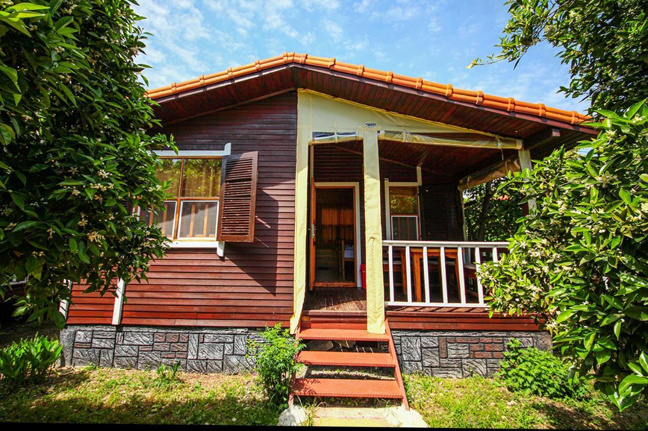Three Islands Bungalow Çıralı Eksteriør billede