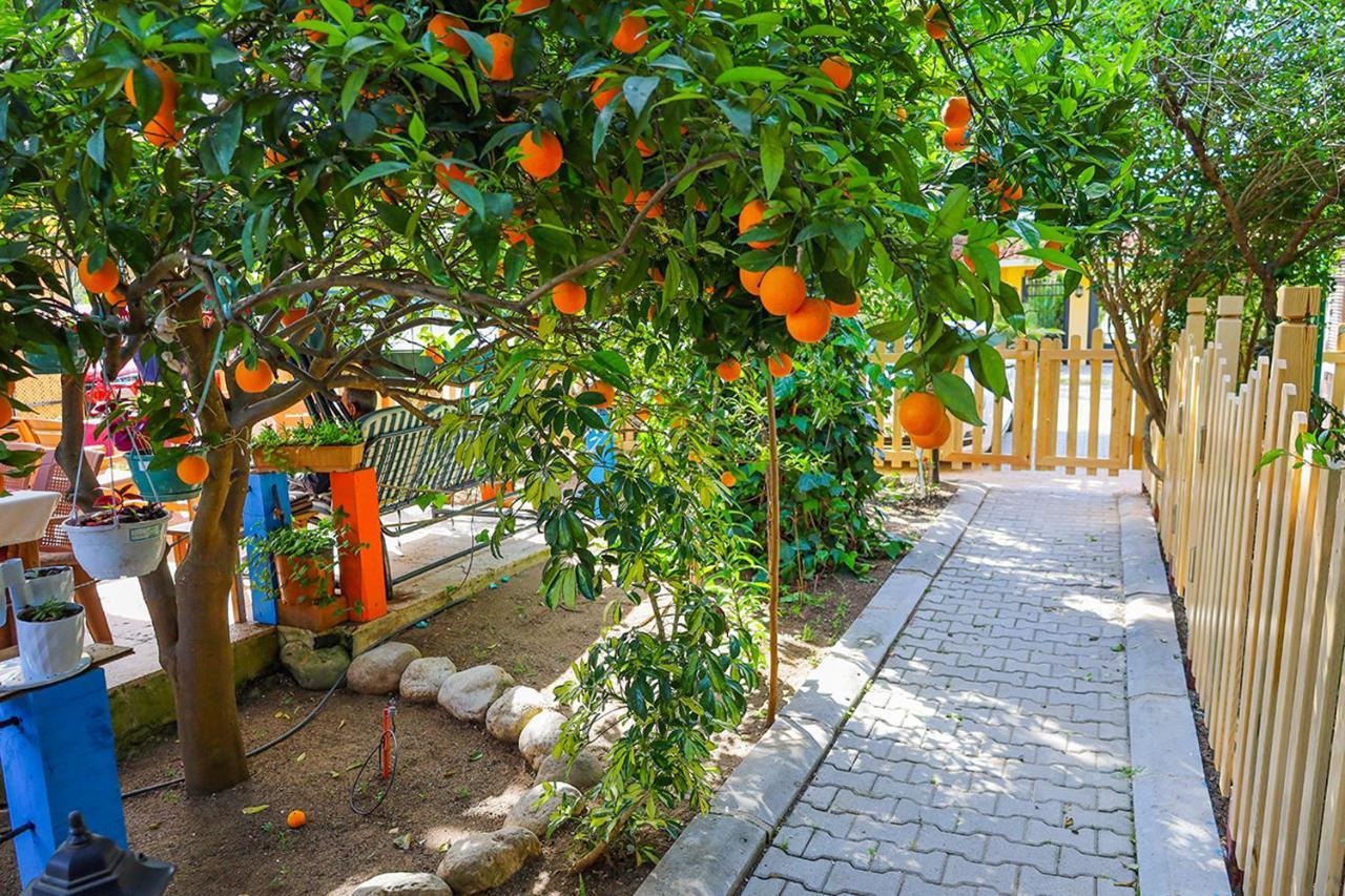Three Islands Bungalow Çıralı Eksteriør billede