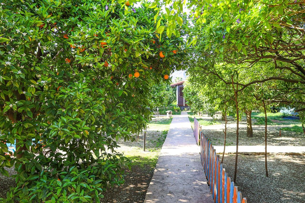 Three Islands Bungalow Çıralı Eksteriør billede