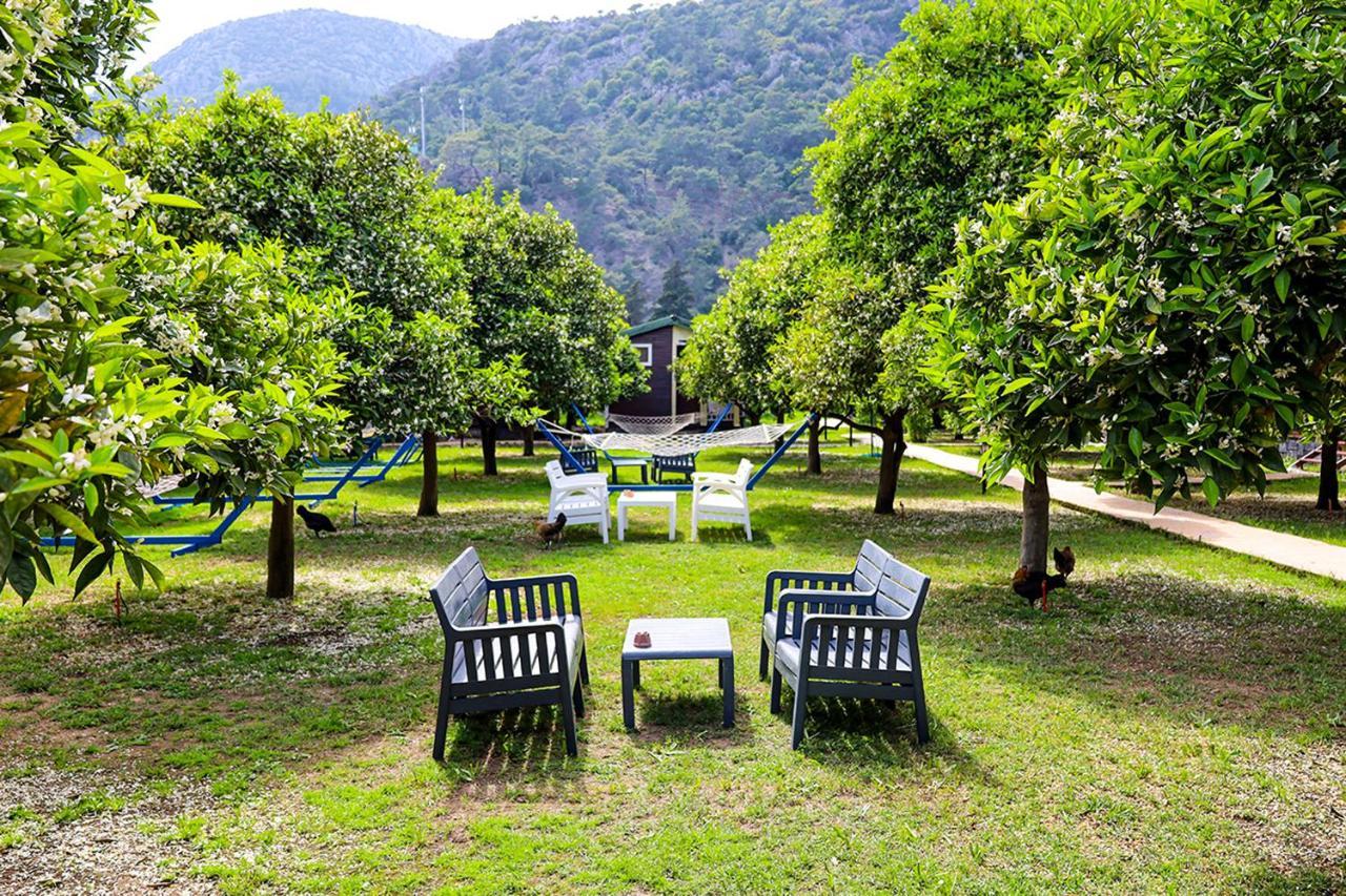 Three Islands Bungalow Çıralı Eksteriør billede