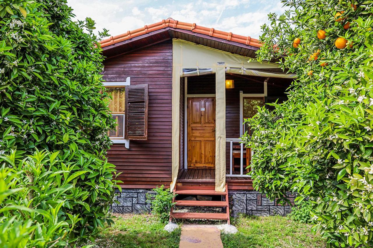 Three Islands Bungalow Çıralı Eksteriør billede