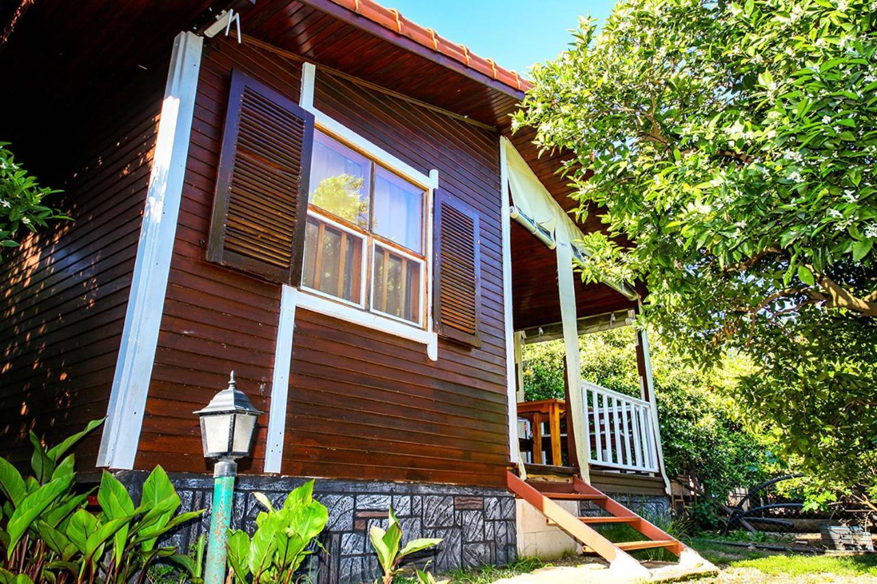 Three Islands Bungalow Çıralı Eksteriør billede