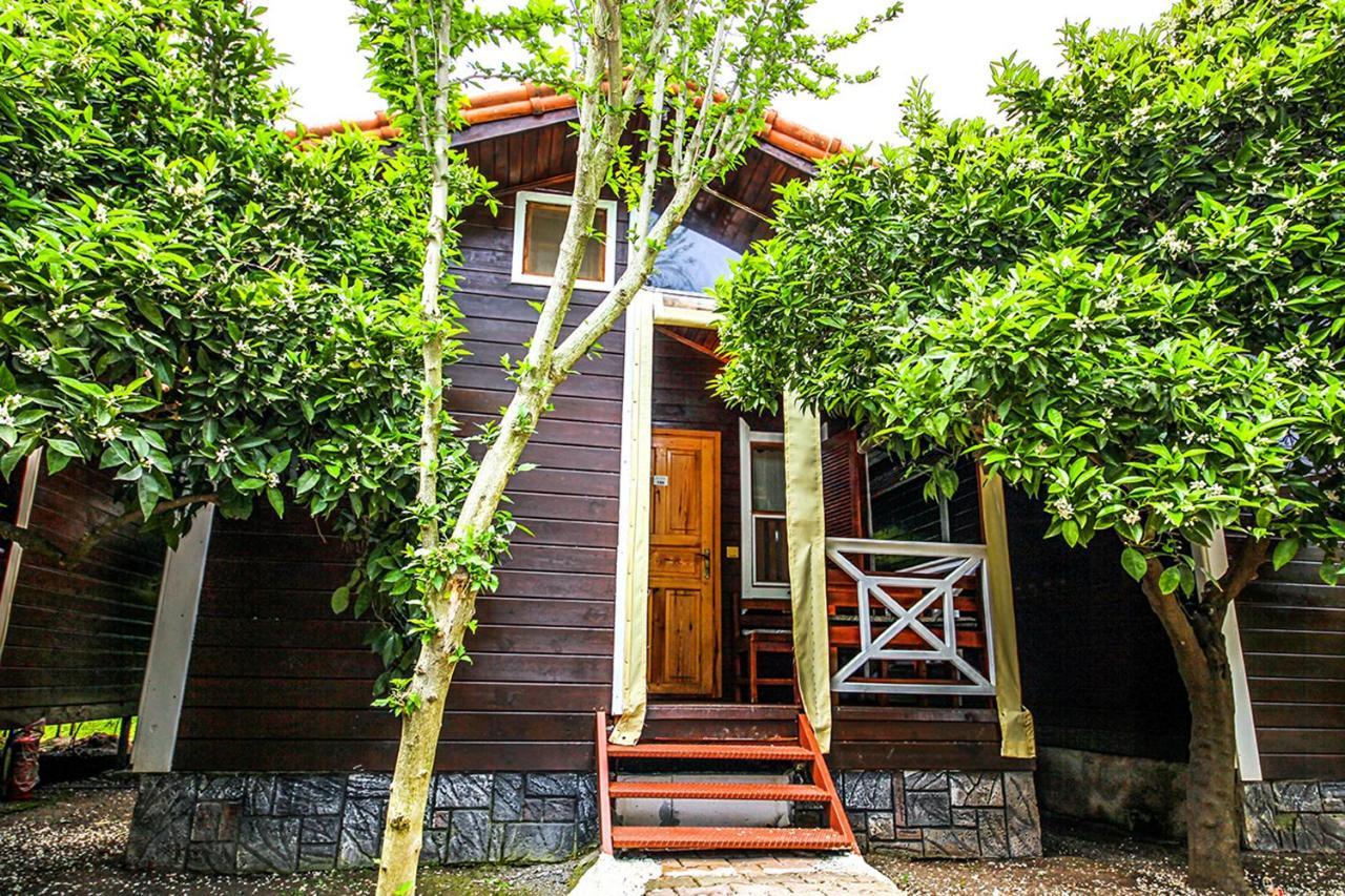 Three Islands Bungalow Çıralı Eksteriør billede