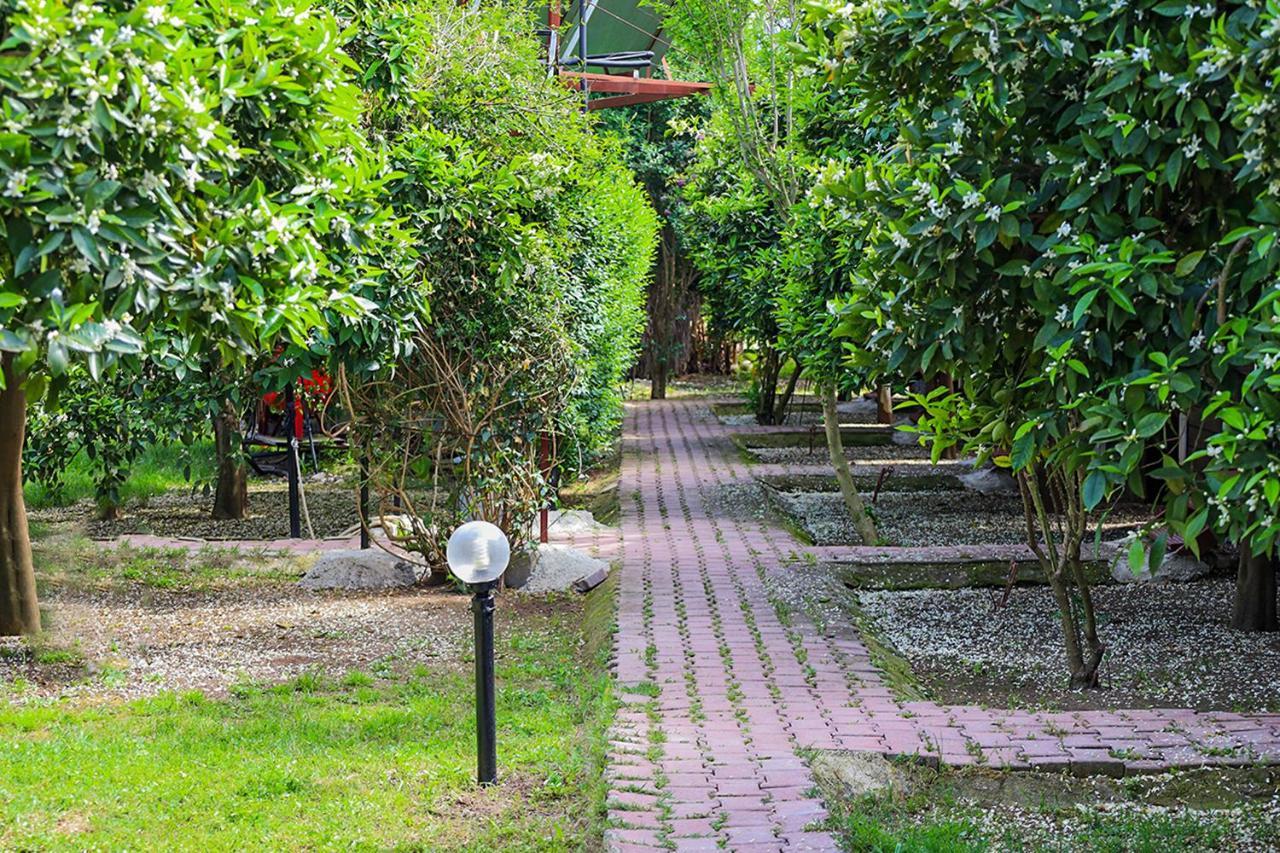 Three Islands Bungalow Çıralı Eksteriør billede